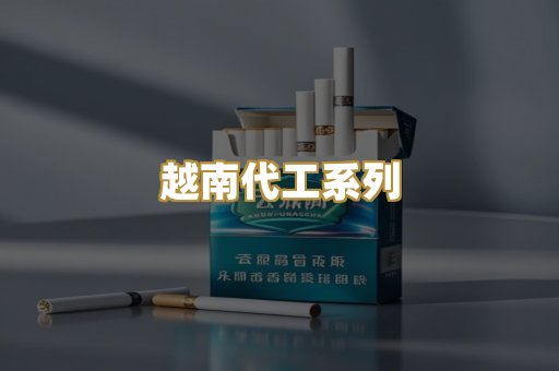 越南代工系列